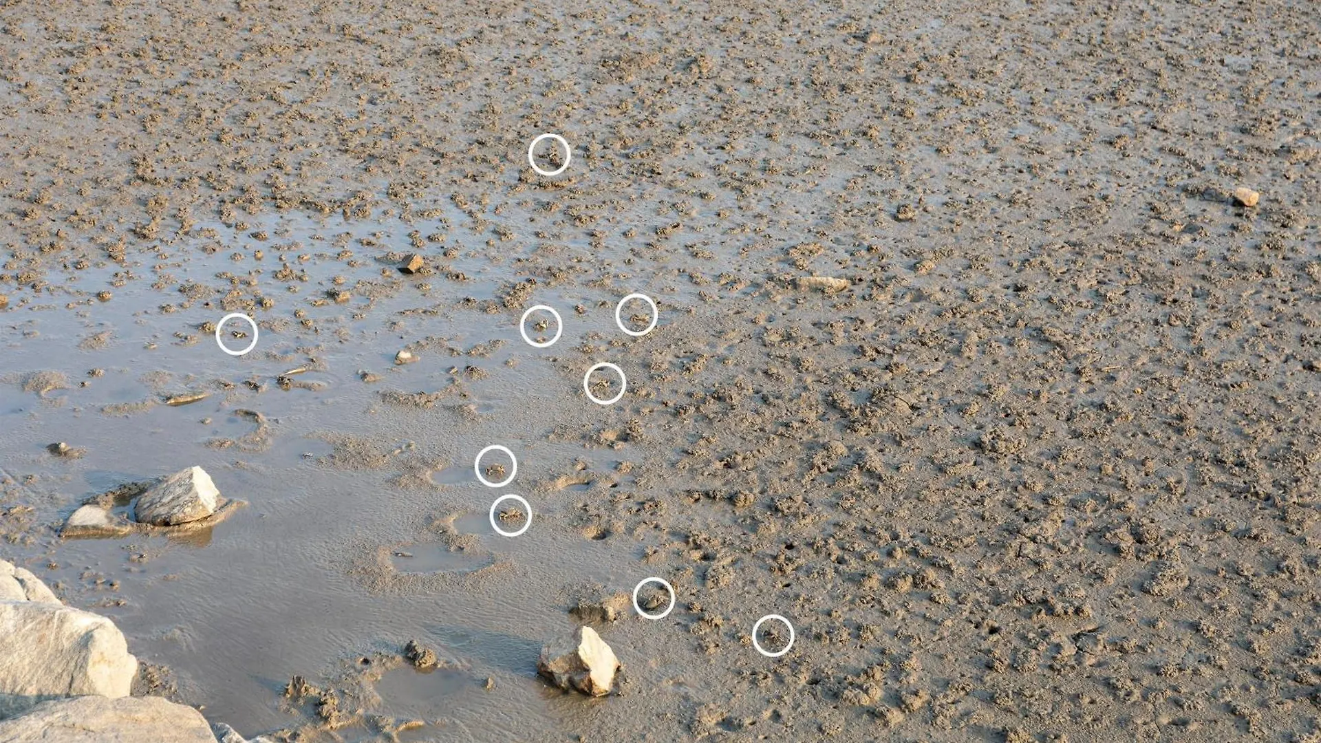 Ganghwa Granblue Pension ゲストハウス