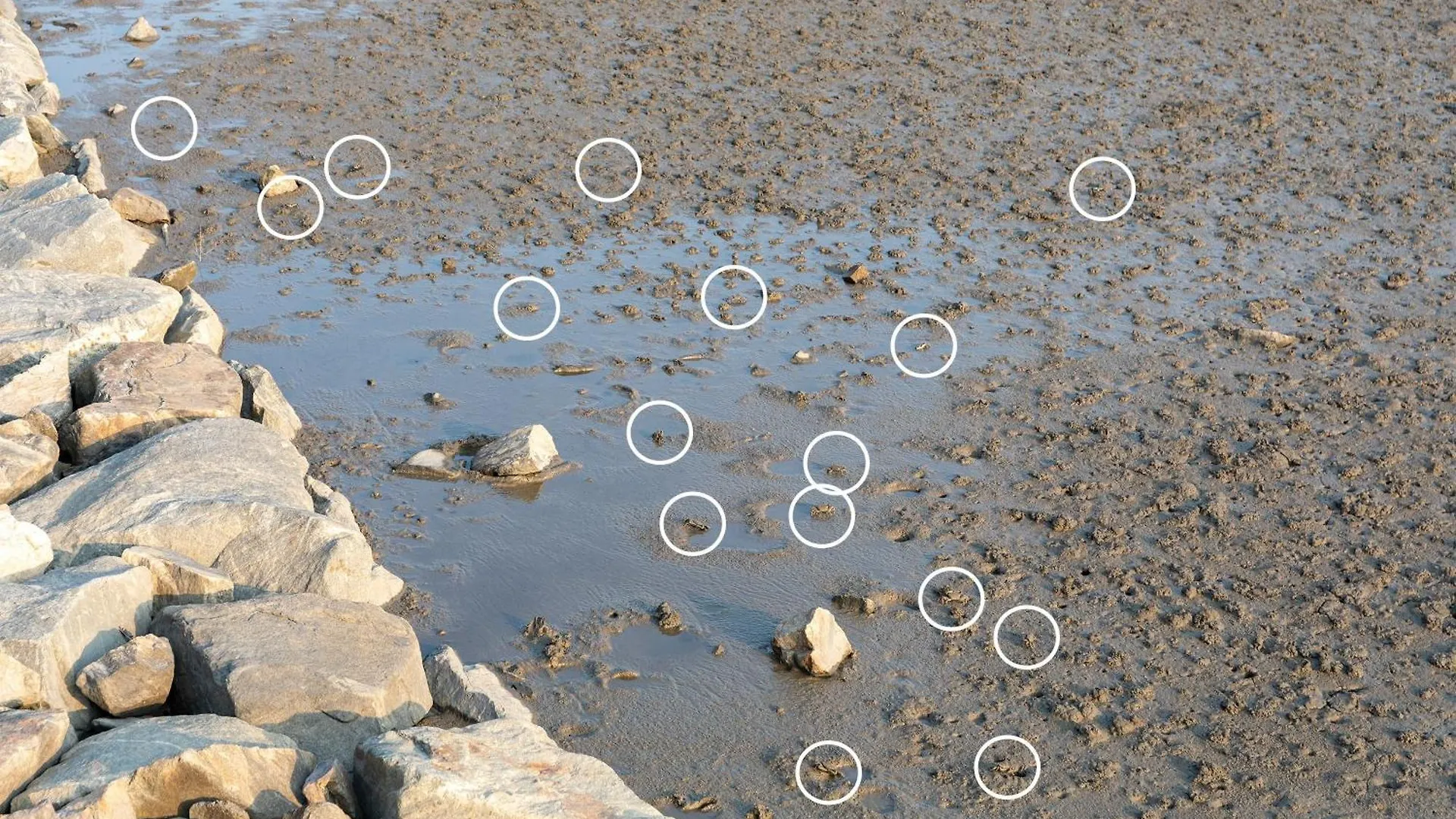 게스트하우스 강화 그랑블루펜션